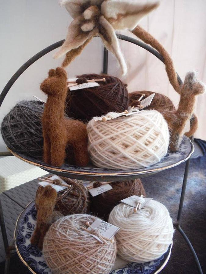 Monte Frio Alpacas Villa Nariz Eksteriør bilde
