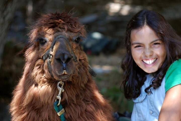 Monte Frio Alpacas Villa Nariz Eksteriør bilde