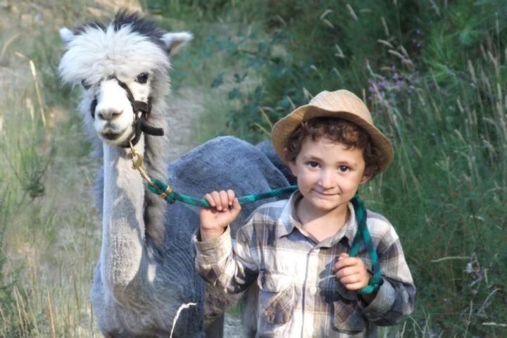 Monte Frio Alpacas Villa Nariz Eksteriør bilde